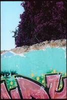http://www.nikstrangelove.com/files/gimgs/th-23_Wall&TreeOlhao.jpg
