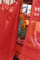 http://www.nikstrangelove.com/files/gimgs/th-23_carousel.jpg